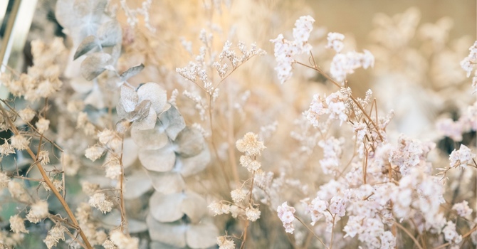 Follow-up Acupuncture (45mins)