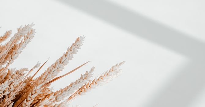 Follow-up Acupuncture (45mins)