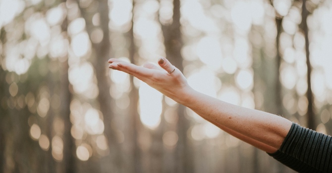 Follow-up Acupuncture (60 mins)